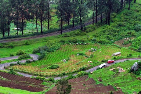 Shalini Cabs and Tempo Travellers - Ooty Tour Package